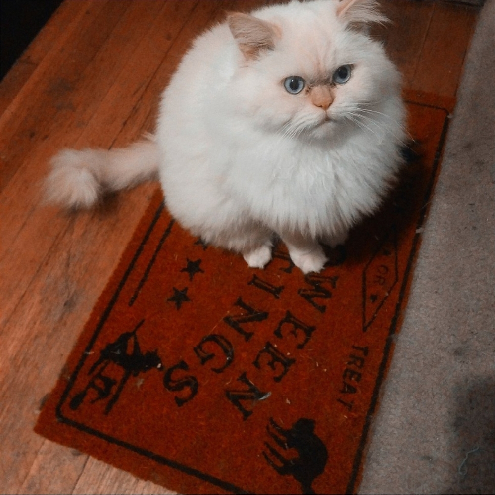 Meet the Cloud